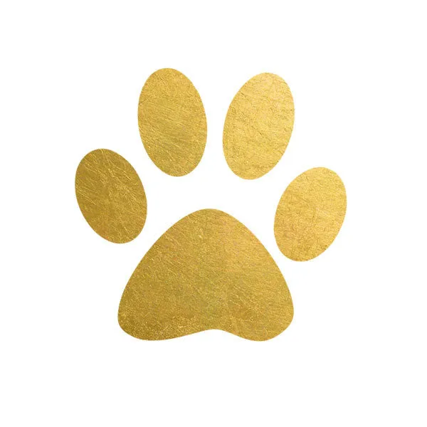 2 PACK Paw Print