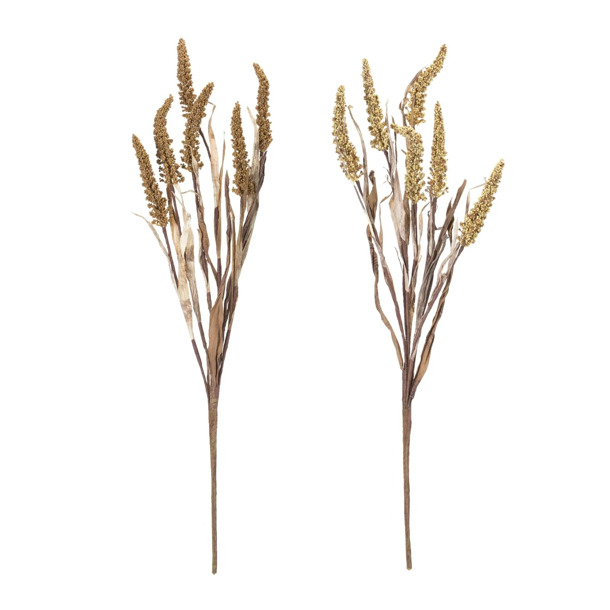 Amaranthus Bush (Set of 2)