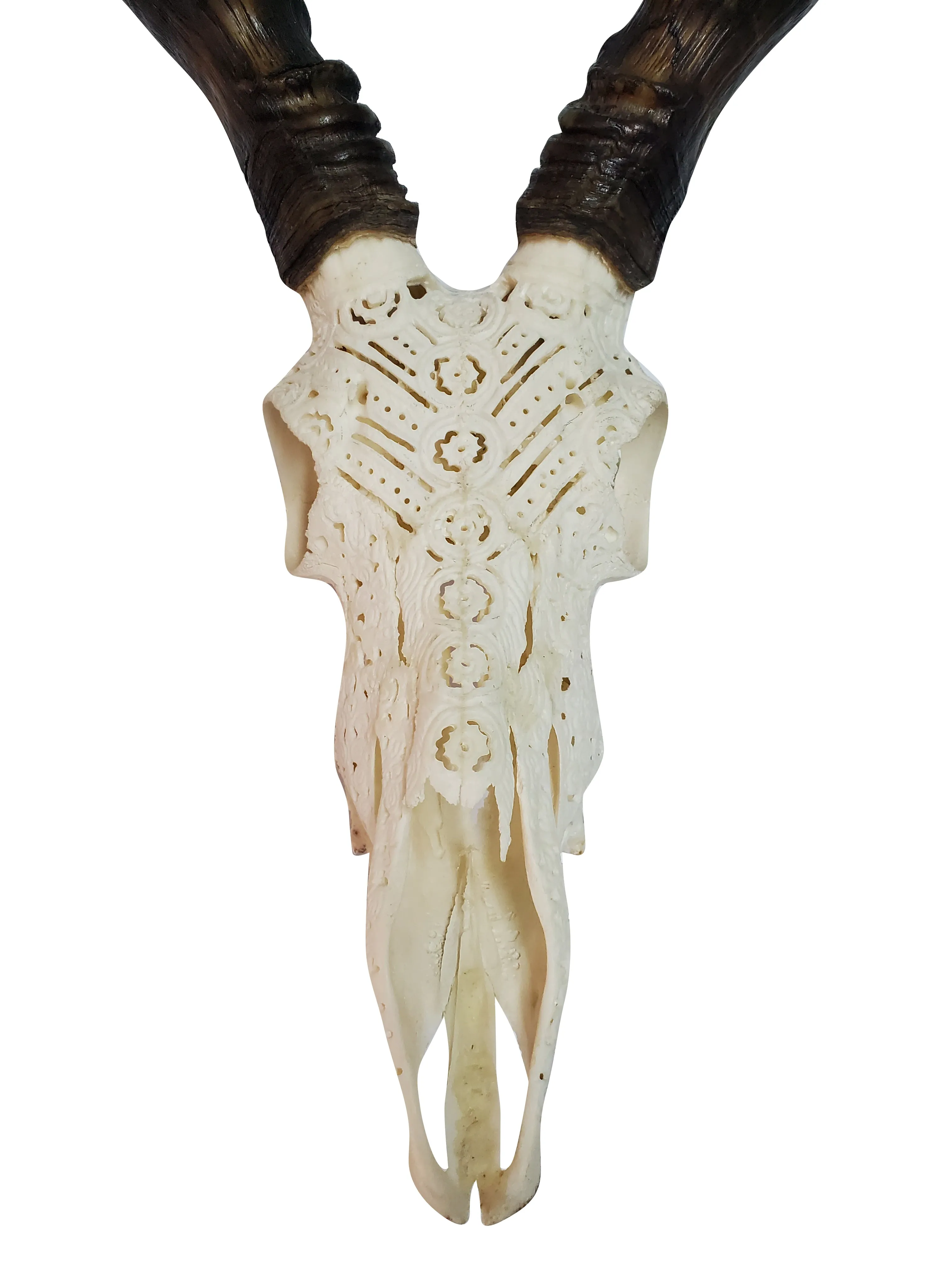 Artisan Carved Impala Skull Wall Mount
