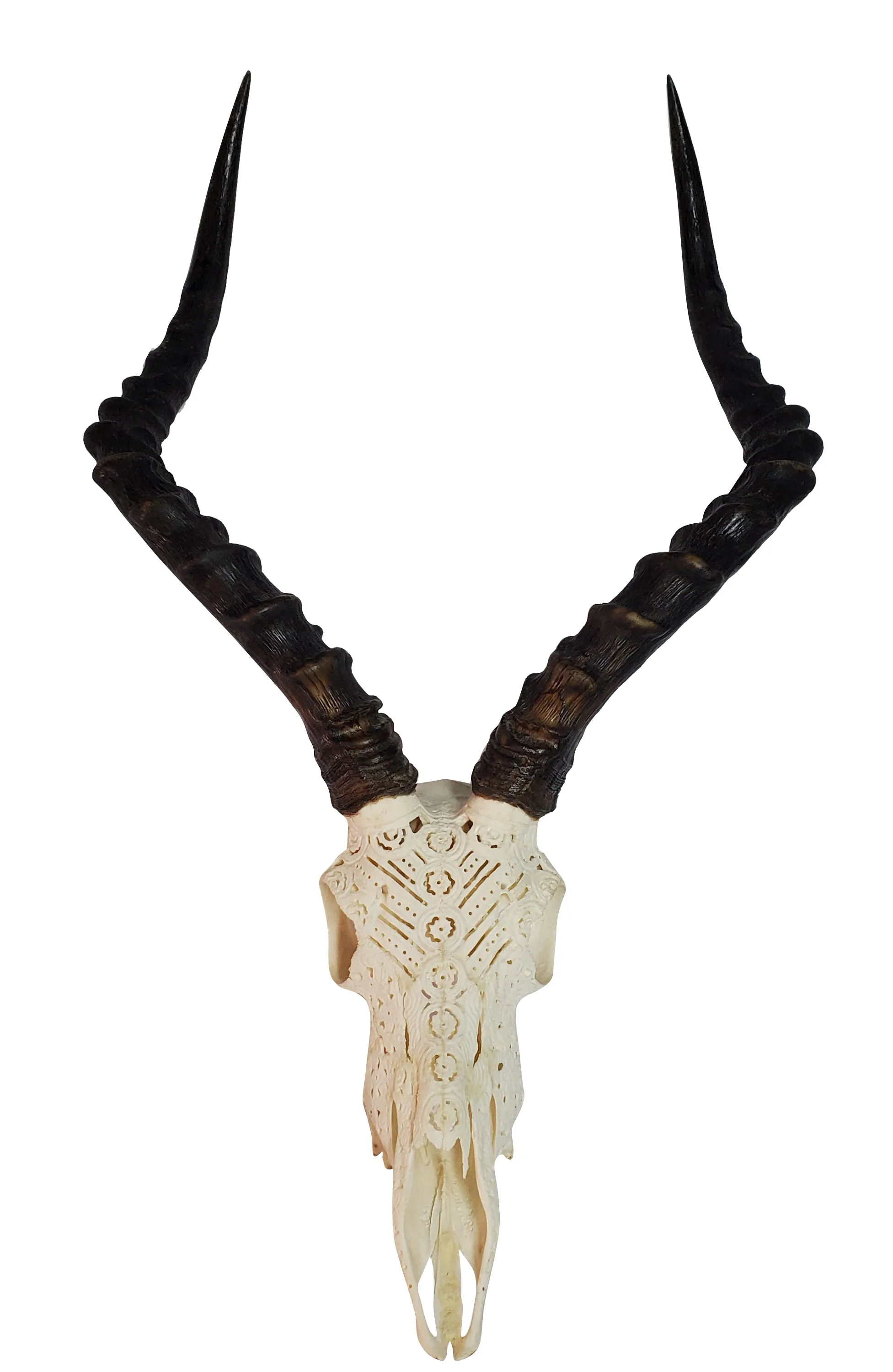 Artisan Carved Impala Skull Wall Mount