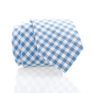 Blue Gingham Youth Skinny Tie
