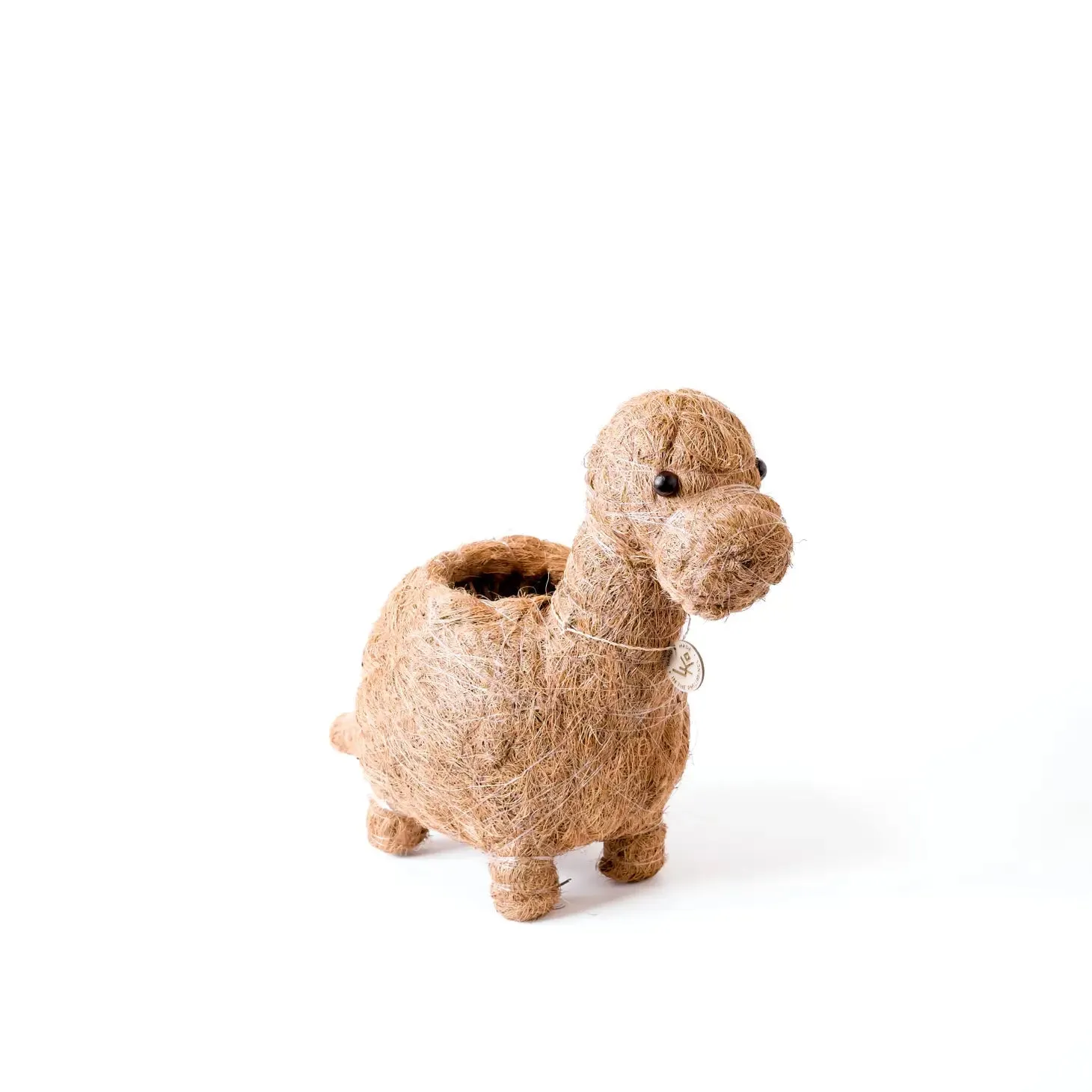 Brontosaurus Planter