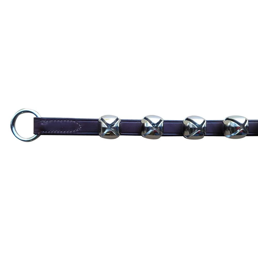 Brown Leather 10 Silver Bells