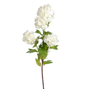 Cream Viburnum Spray