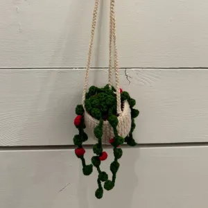 Crocheted Hanging Plant | Vines