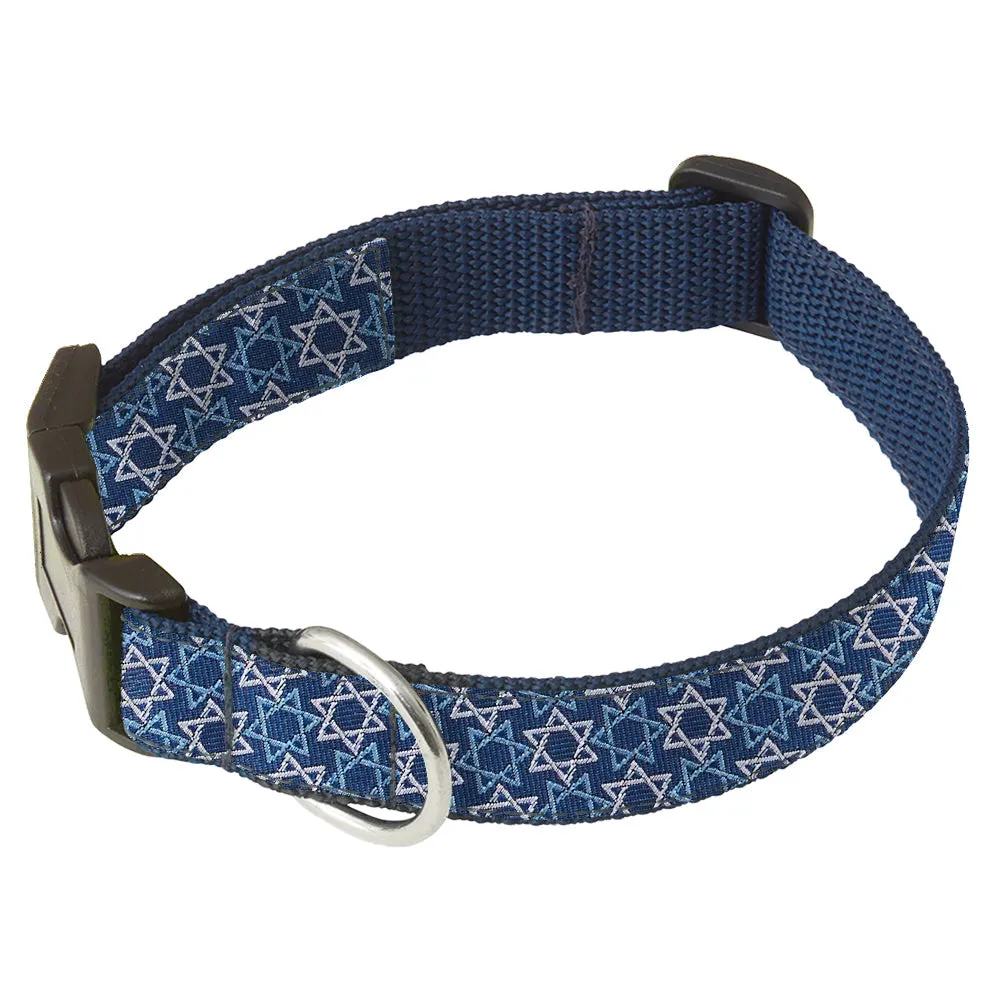 David - Dog Collar