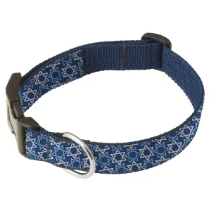 David - Dog Collar