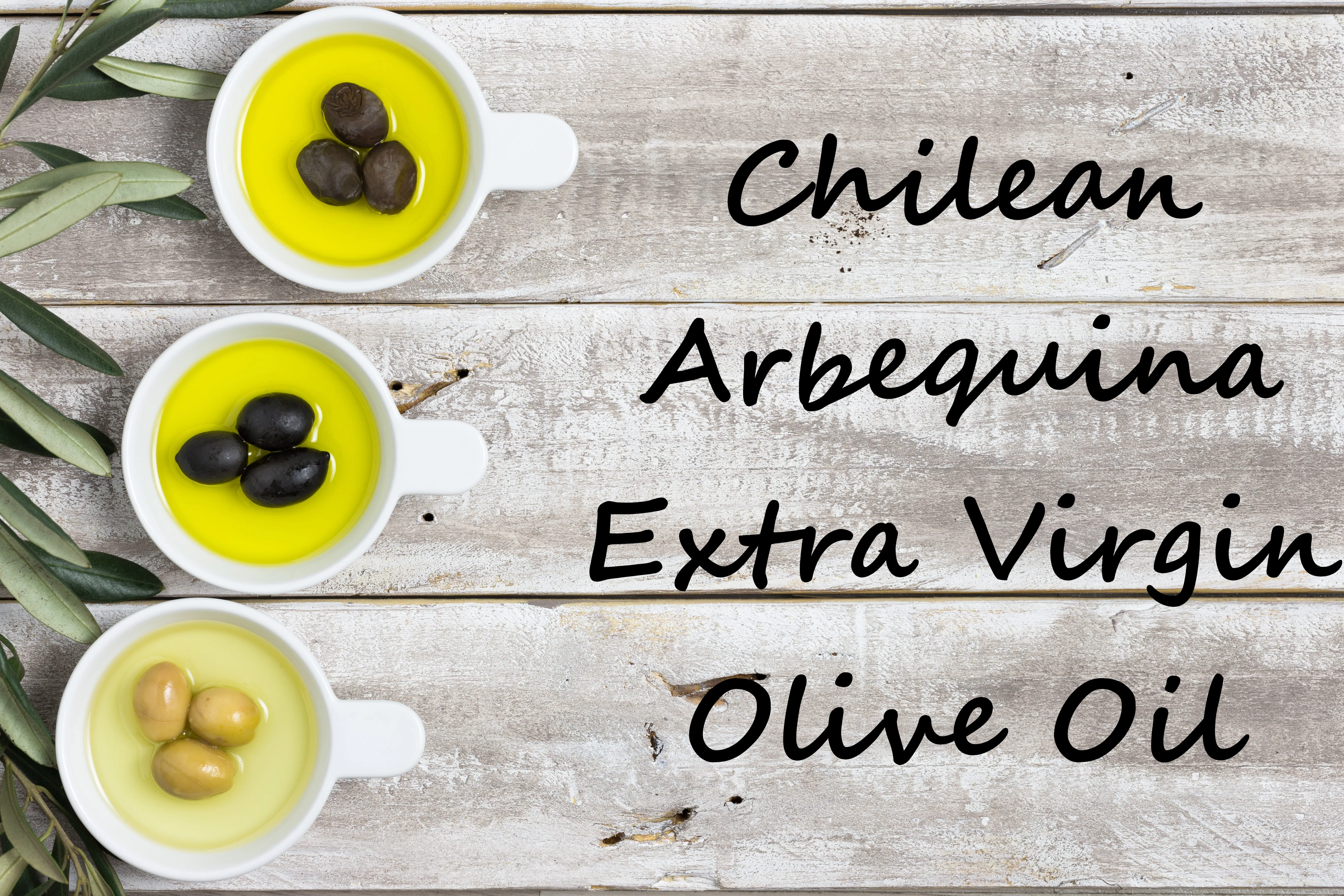 Extra Virgin Olive Oil - Chilean Arbequina