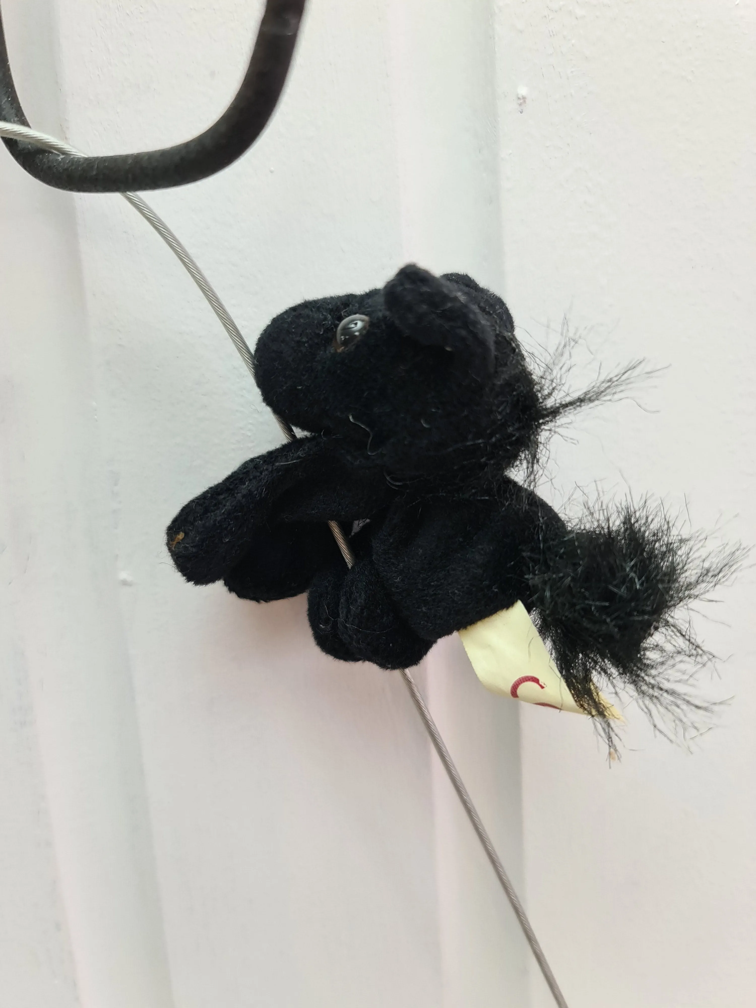 Fluffy Pony Magnets