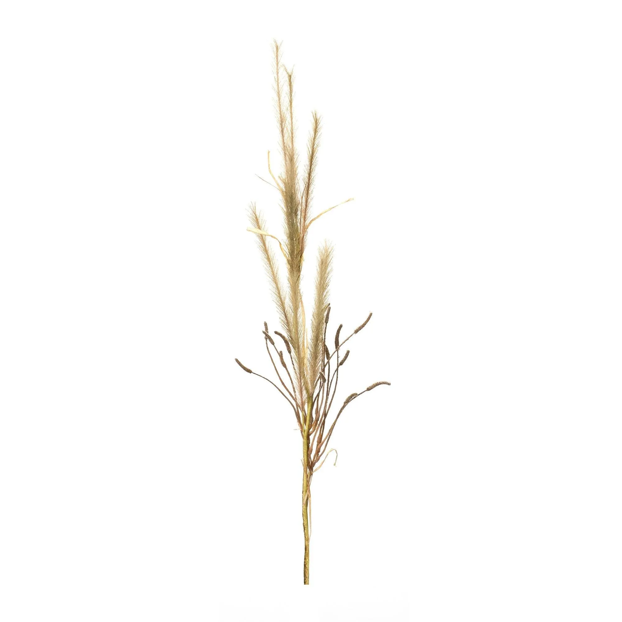 Foxtail Grass Spray (Set of 2)
