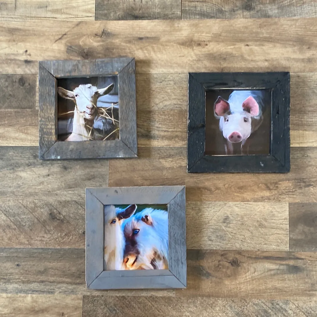 GB- Baby Animals (Gina B's)