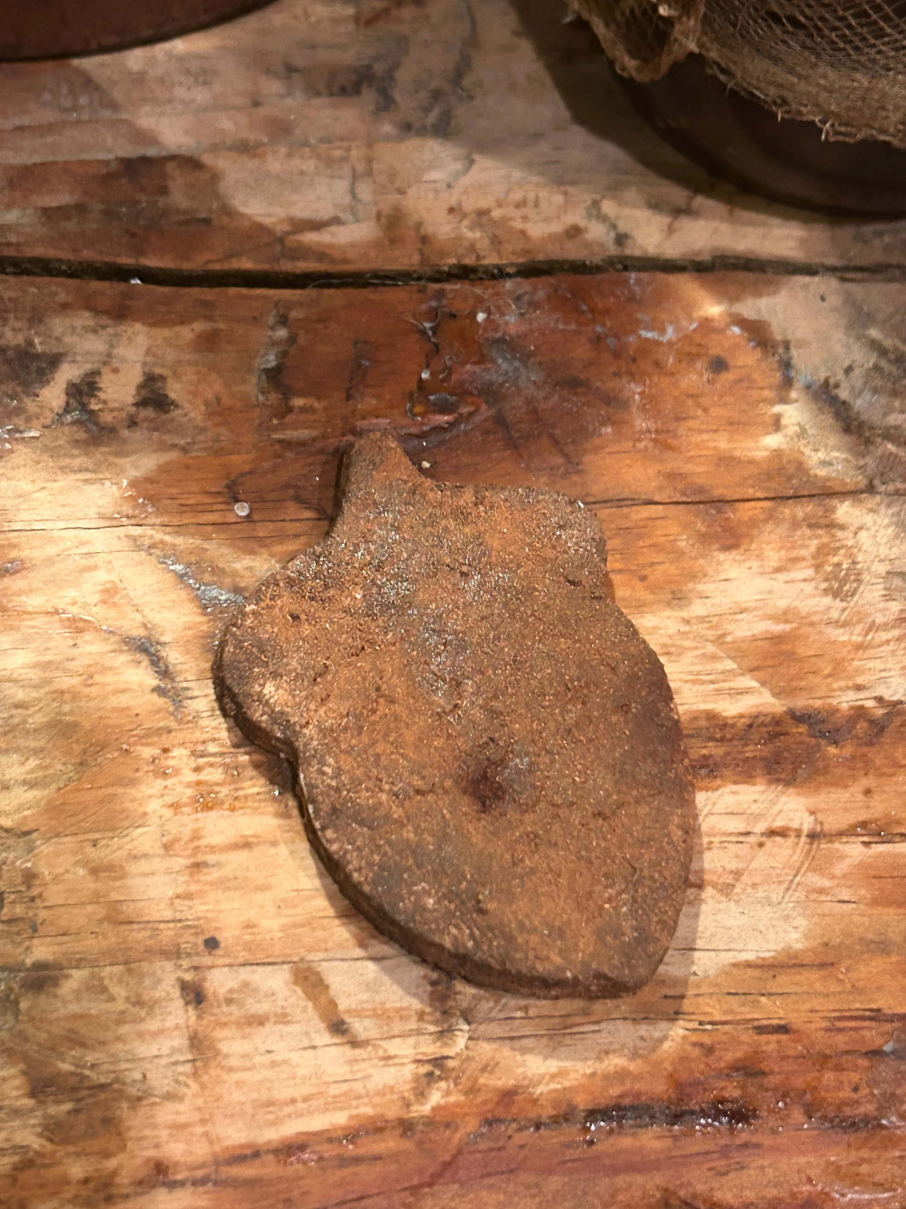 Ginger Bowl filler Acorn