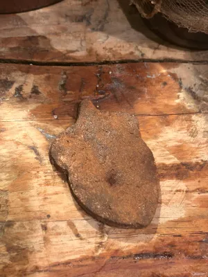 Ginger Bowl filler Acorn