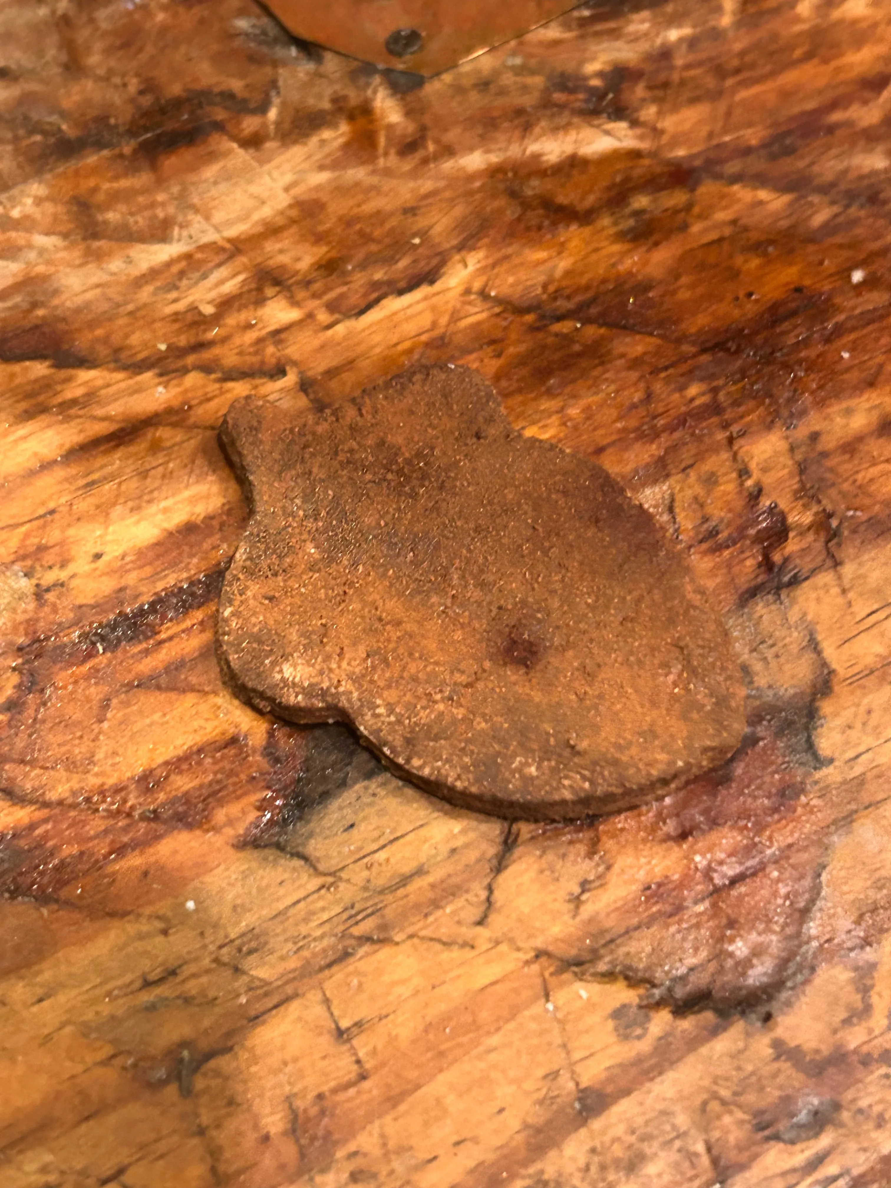 Ginger Bowl filler Acorn