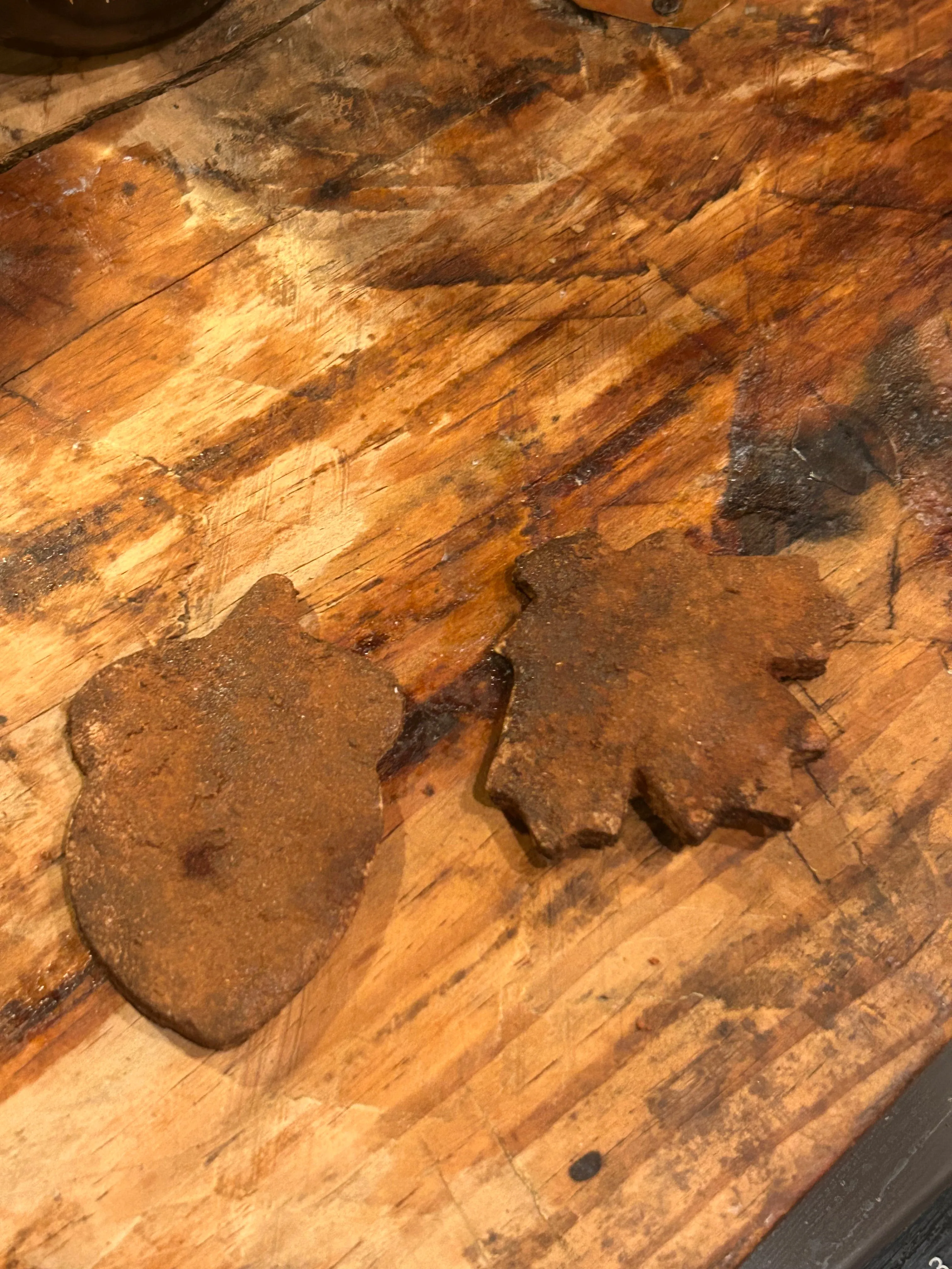 Ginger Bowl filler Acorn