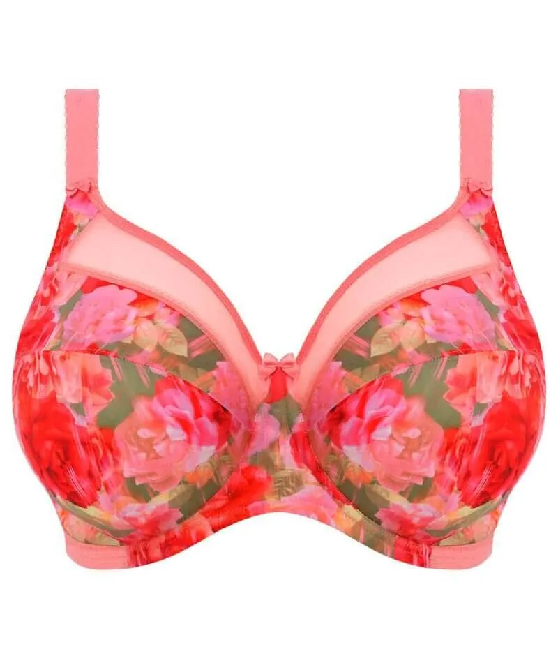 Goddess Kayla Underwired Banded Bra - Rose Garden