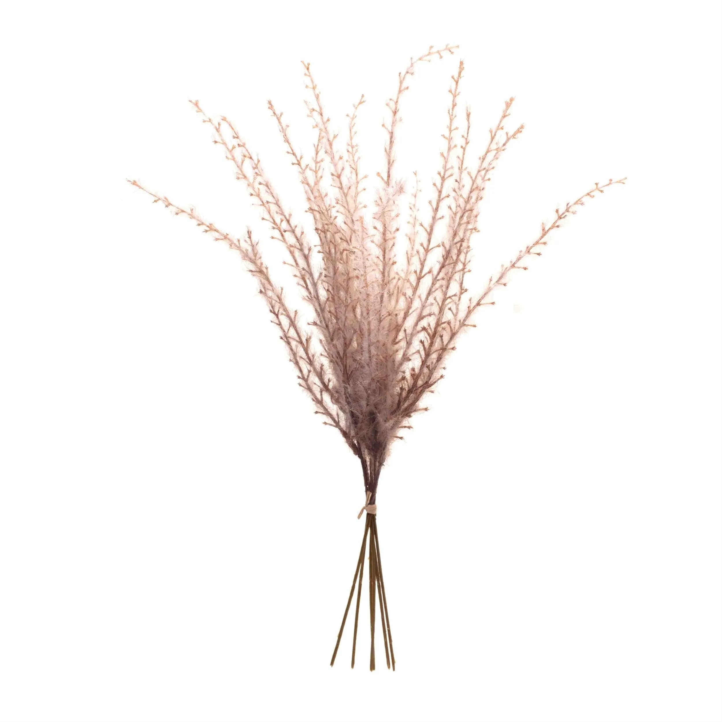 Grass Plume Bundle (Set of 6)