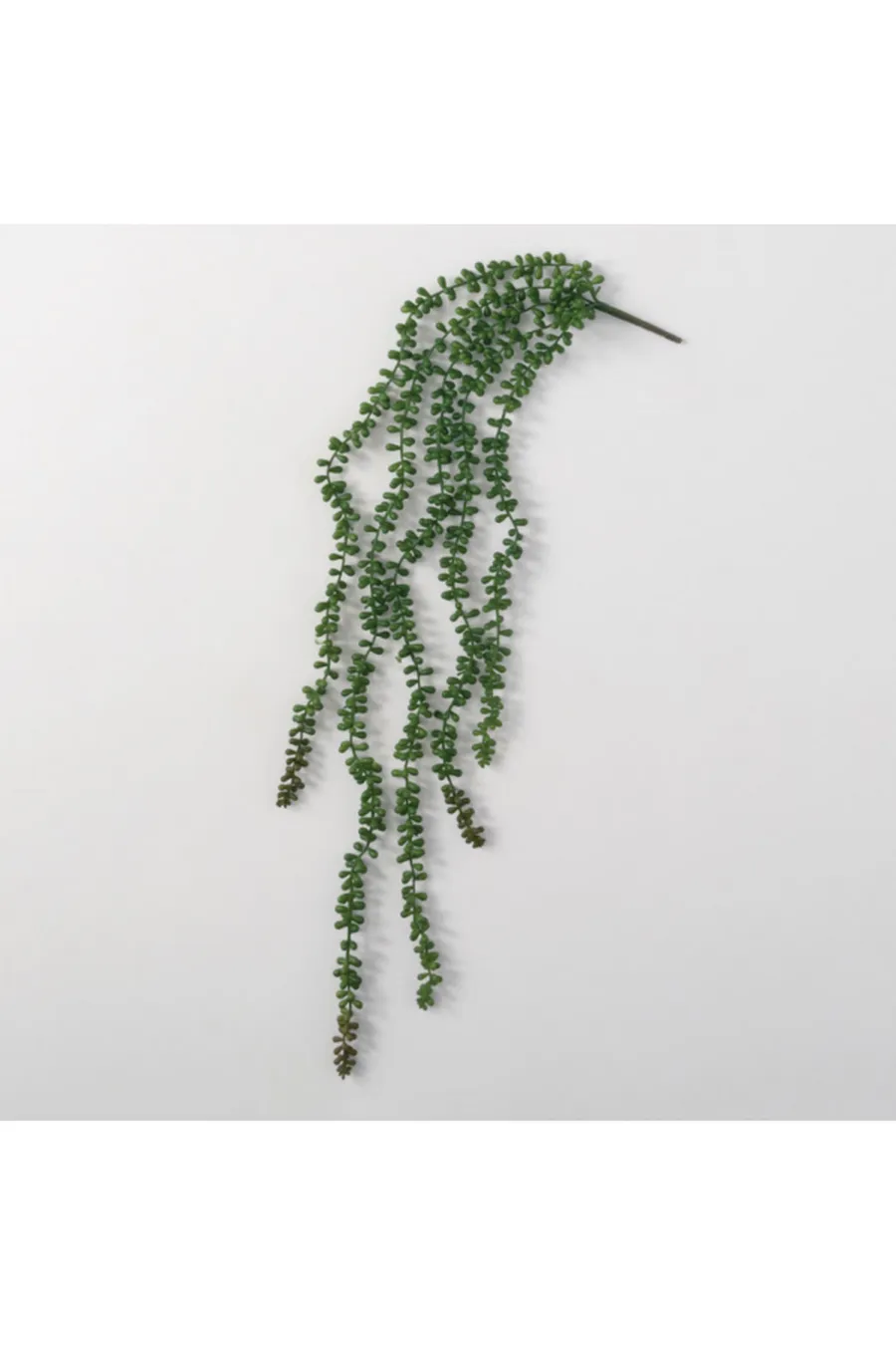 Hanging Succulent Spray