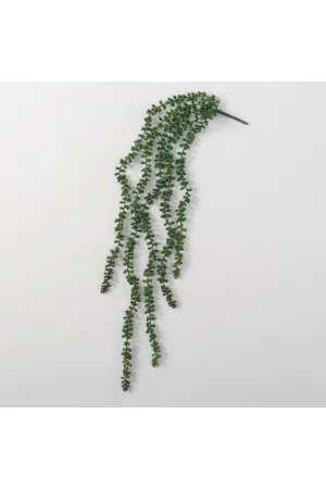 Hanging Succulent Spray