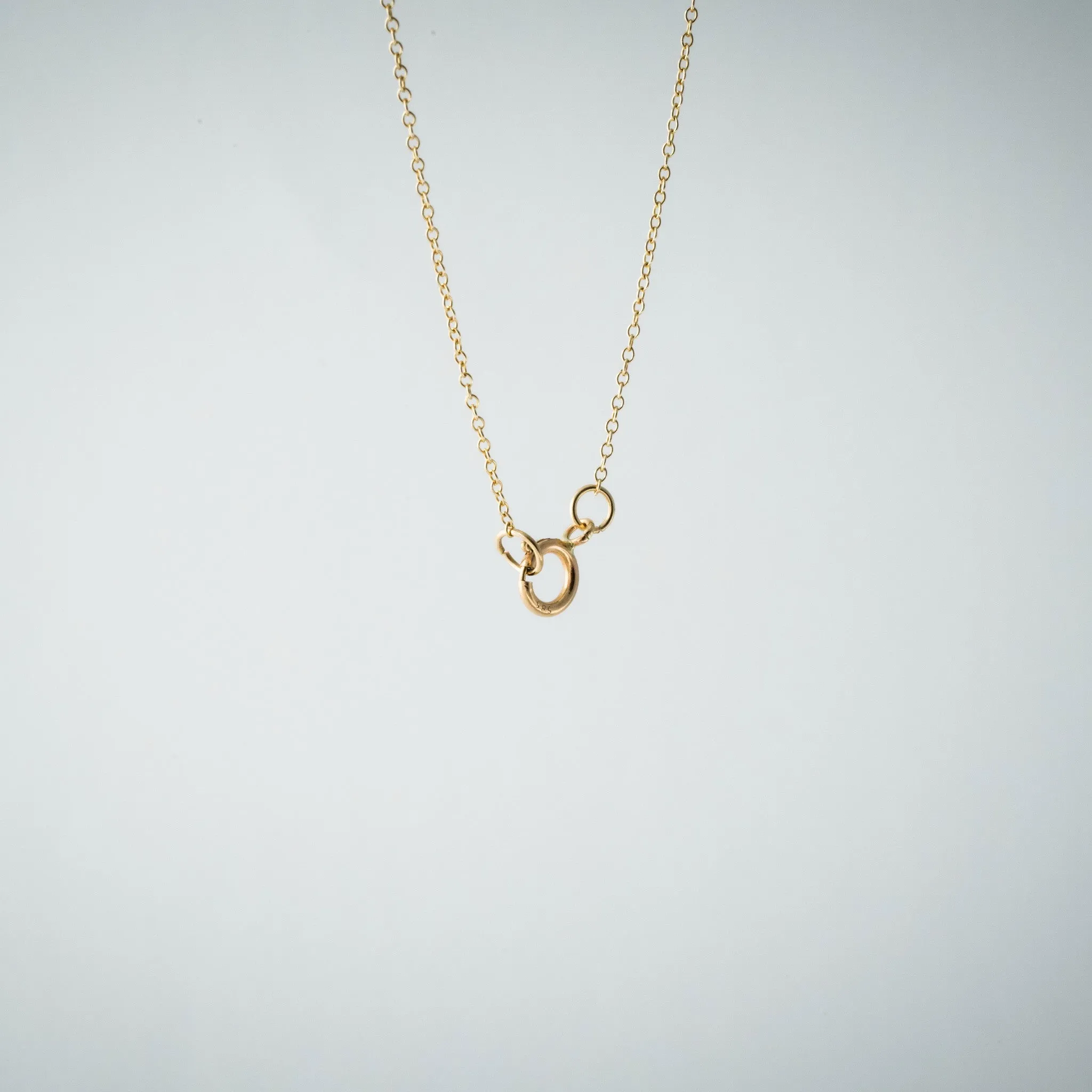 Hive N°147 Necklace