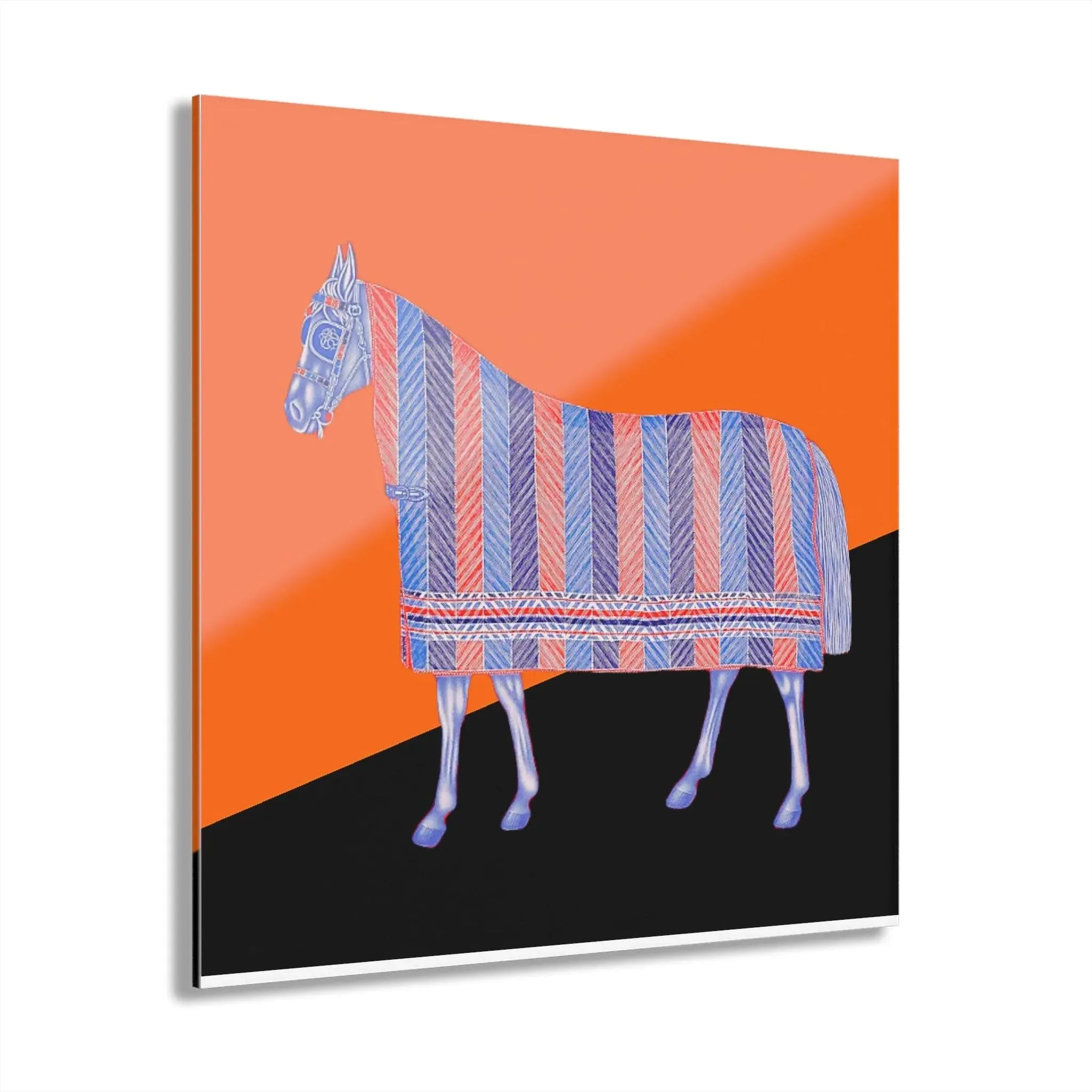 House of Horse Acrylic Print Wall Art with French Cleat Hanging