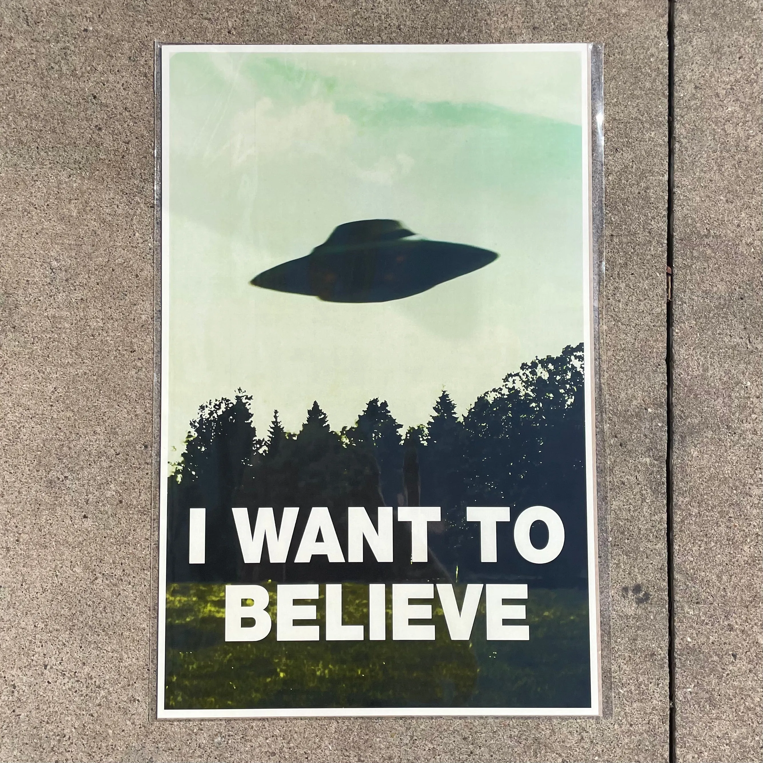 I Want To Believe Poster Print