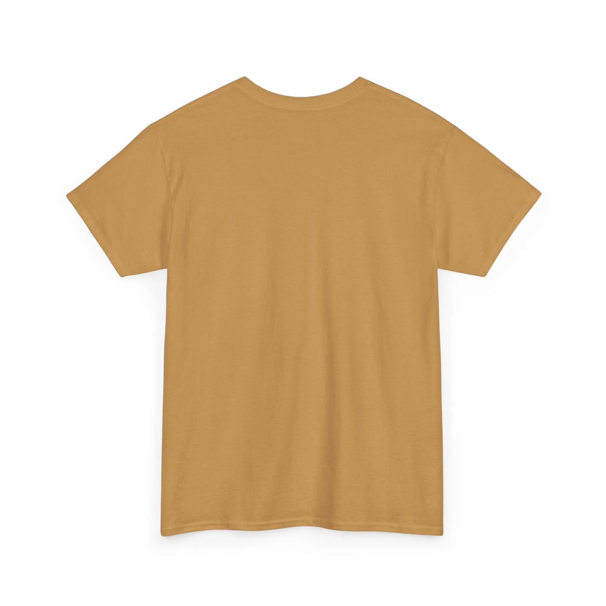 Inspirational Unisex Heavy Cotton Tee - 'Be The Light' Matthew 5:14