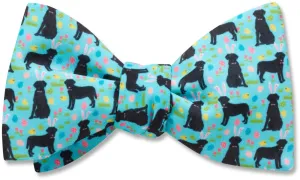 Labrabunny - bow ties