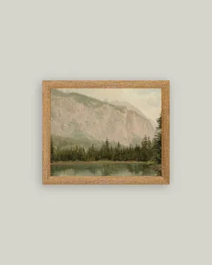 Mountain Pine Framed Antique Art
