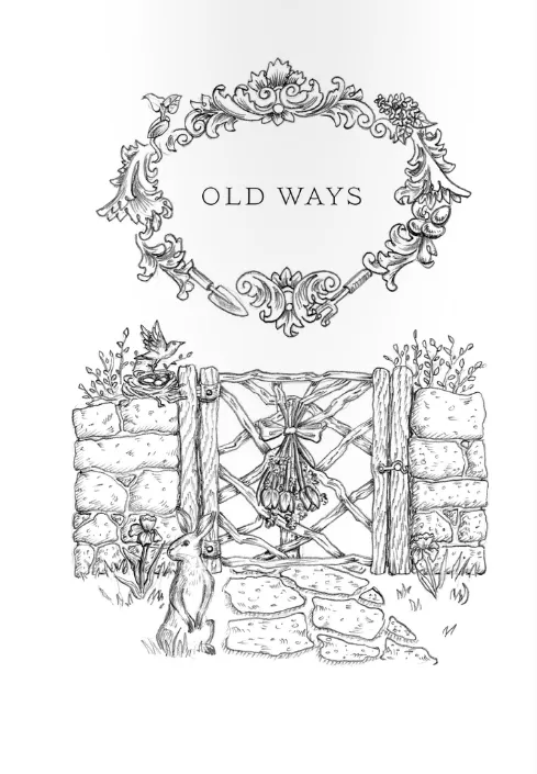 Ostara Rituals, Recipes, and Lore for the Spring Equinox by Kerri Connor