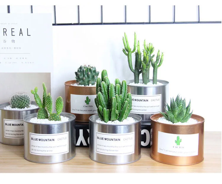 Plana Succulent Pot