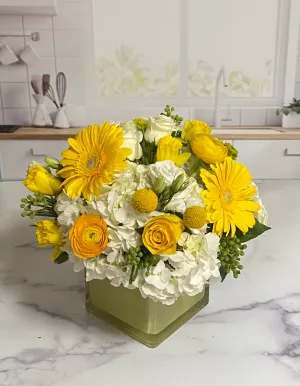 POCKET FULL OF SUNSHINE