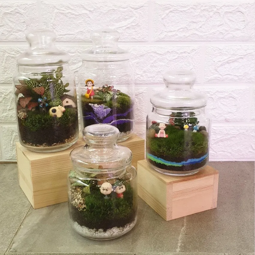 Pop Jar Terrarium