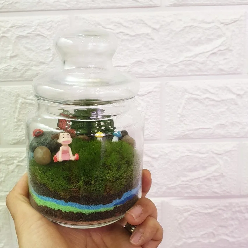 Pop Jar Terrarium