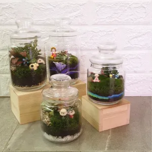 Pop Jar Terrarium