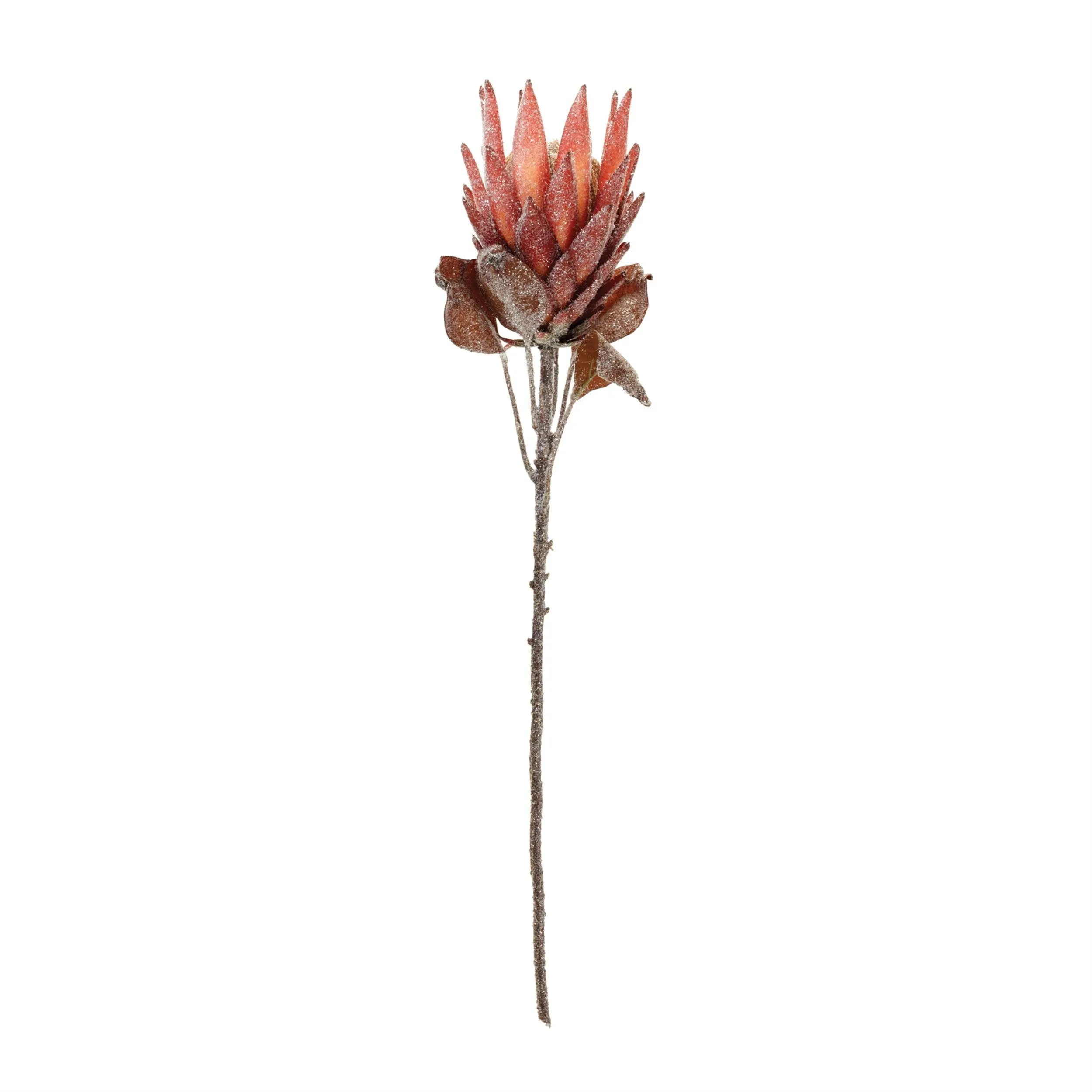 Red Protea Flower Stem (Set of 2)