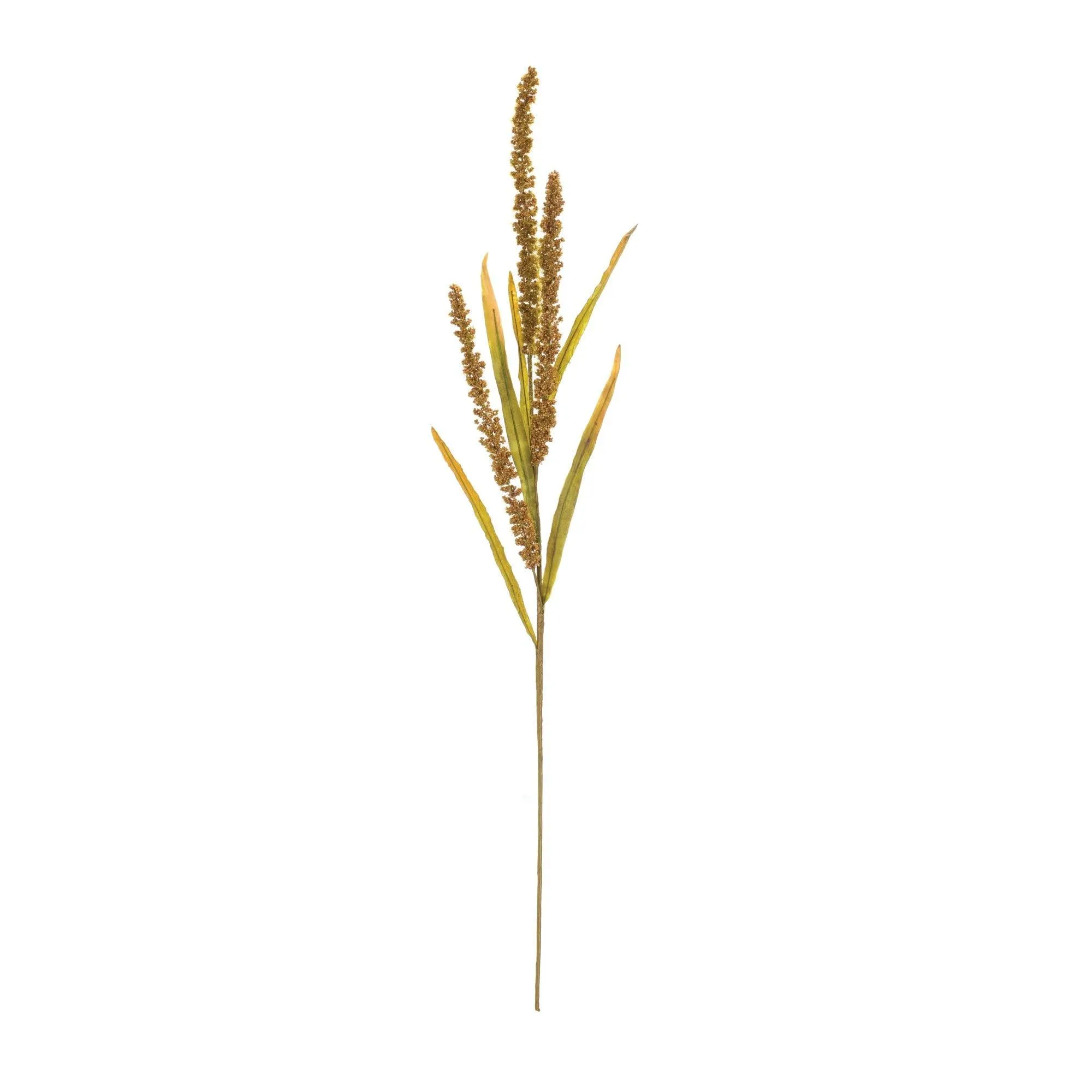 Seeded Harvest Spray (Set of 12)