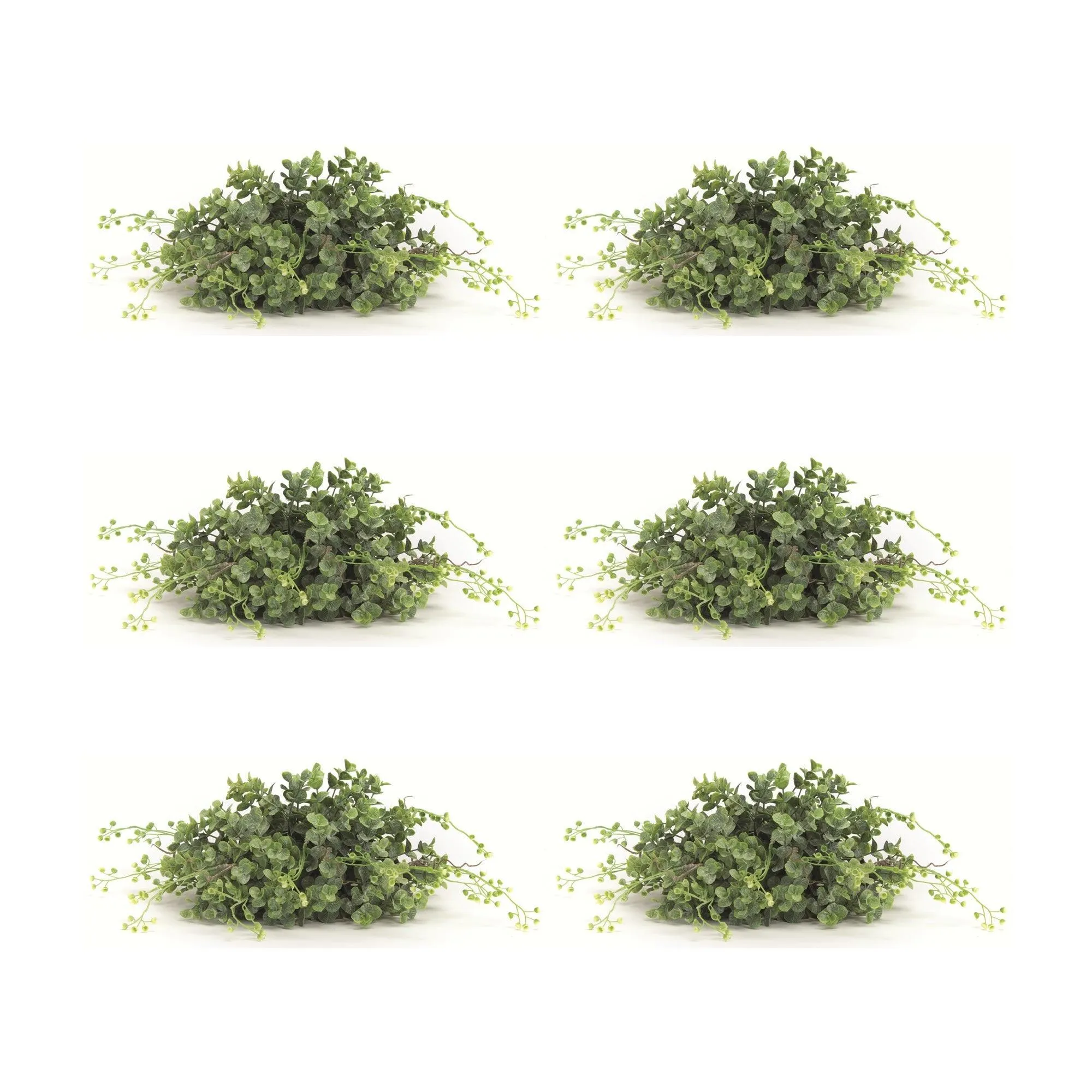 Spring Boxwood Foliage Half Orb (Set of 6)