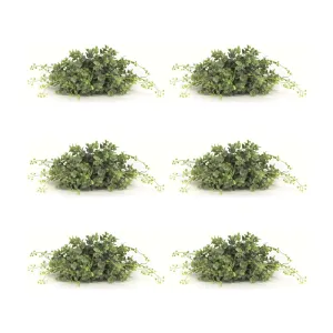 Spring Boxwood Foliage Half Orb (Set of 6)