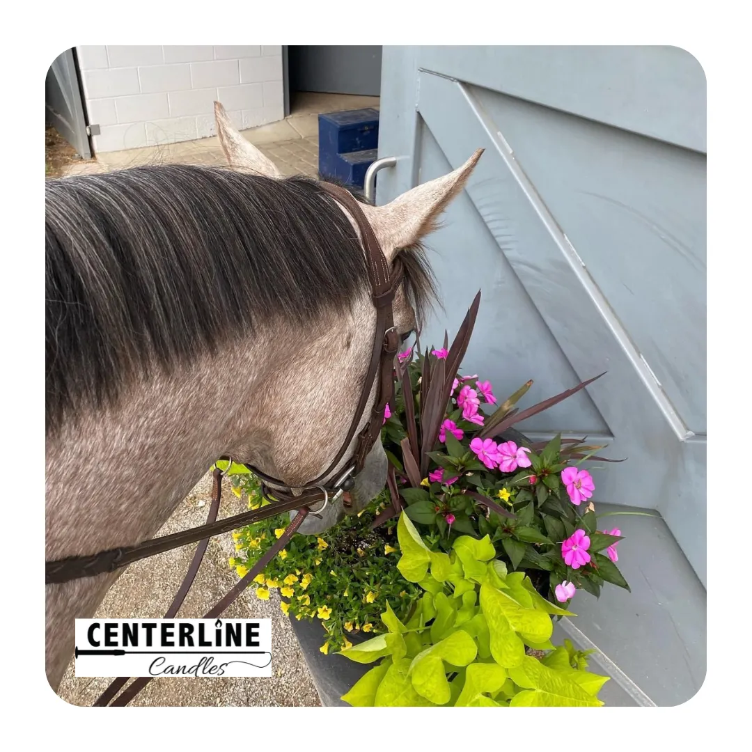 Springtime in the Bluegrass