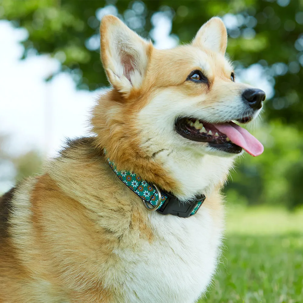 Star Tree - Dog Collar
