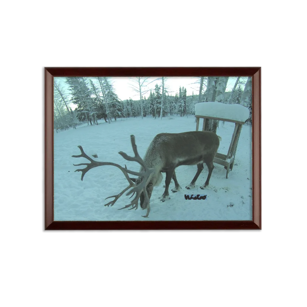 Sublimation Wall Plaque - Rudolph the Reindeer Collection