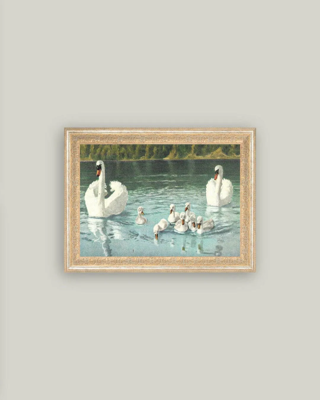 Swan Family Framed Antique Art