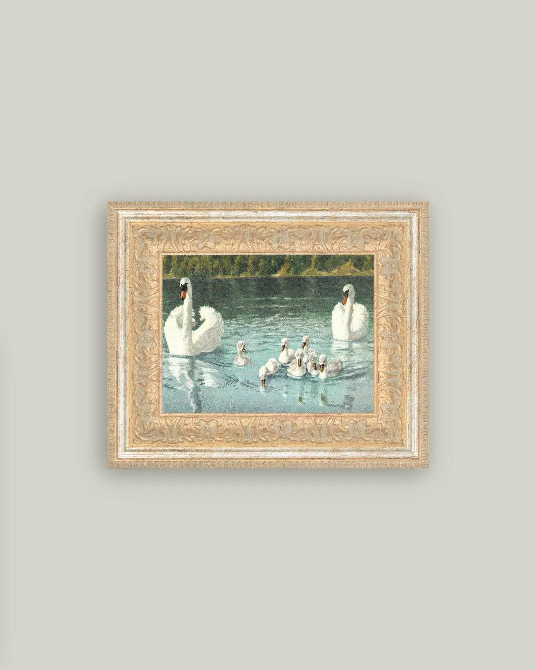 Swan Family Framed Antique Art
