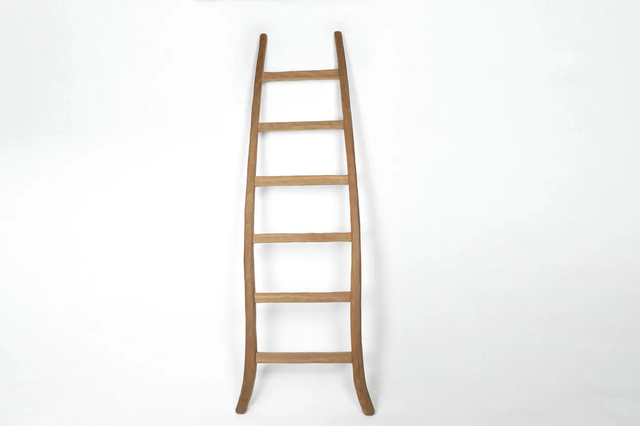 Teak Ladders