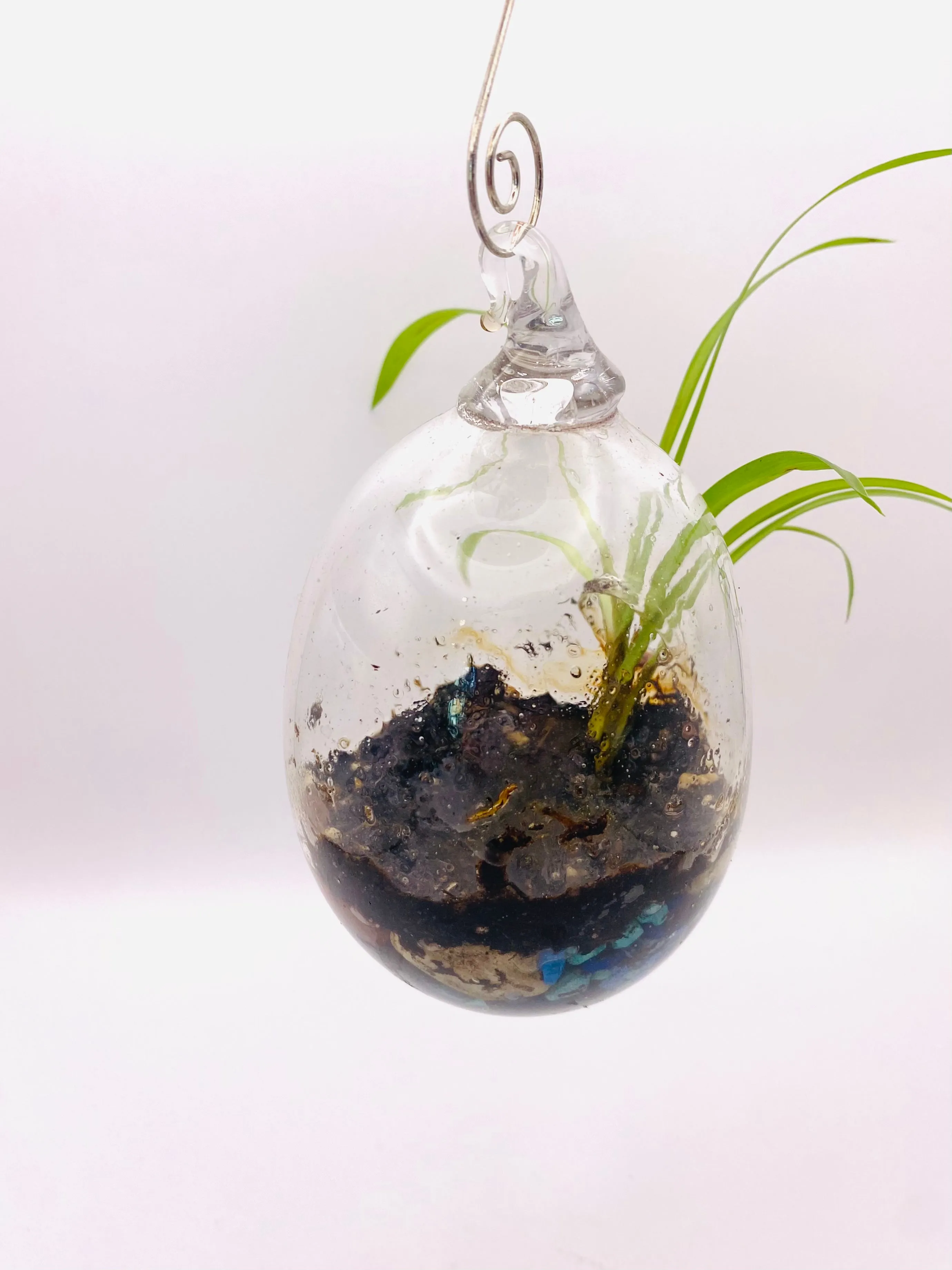 Terrarium