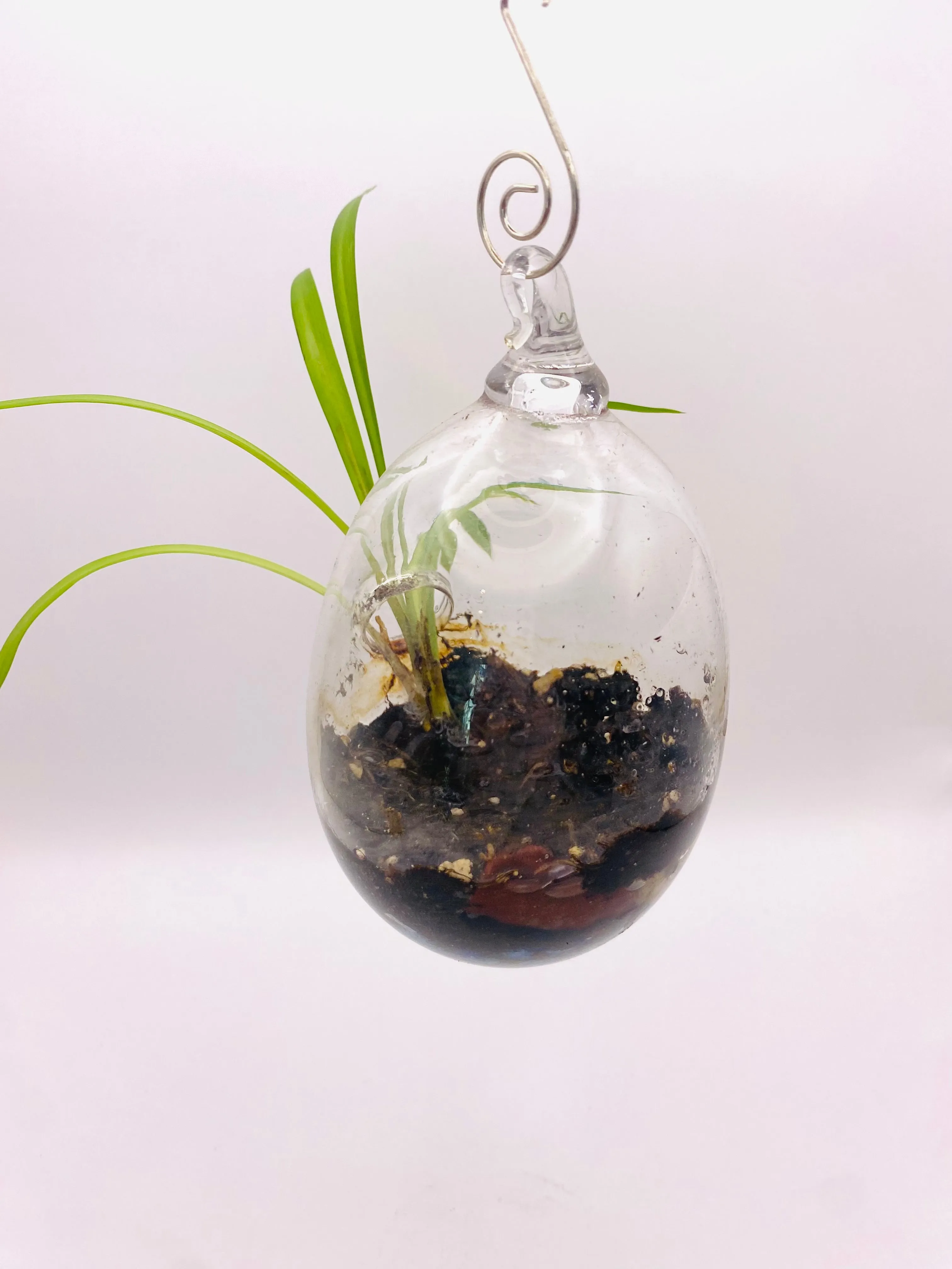 Terrarium