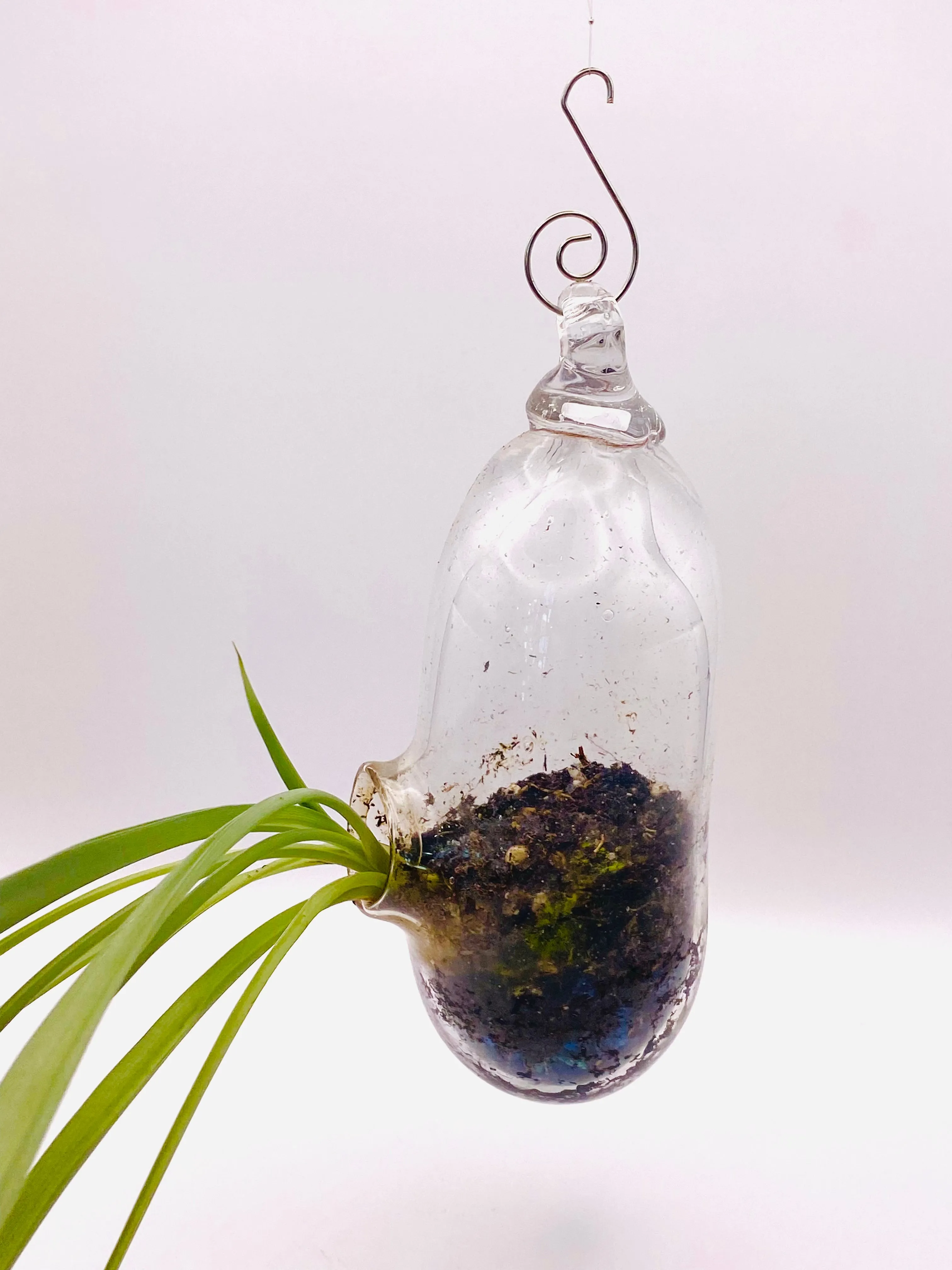 Terrarium