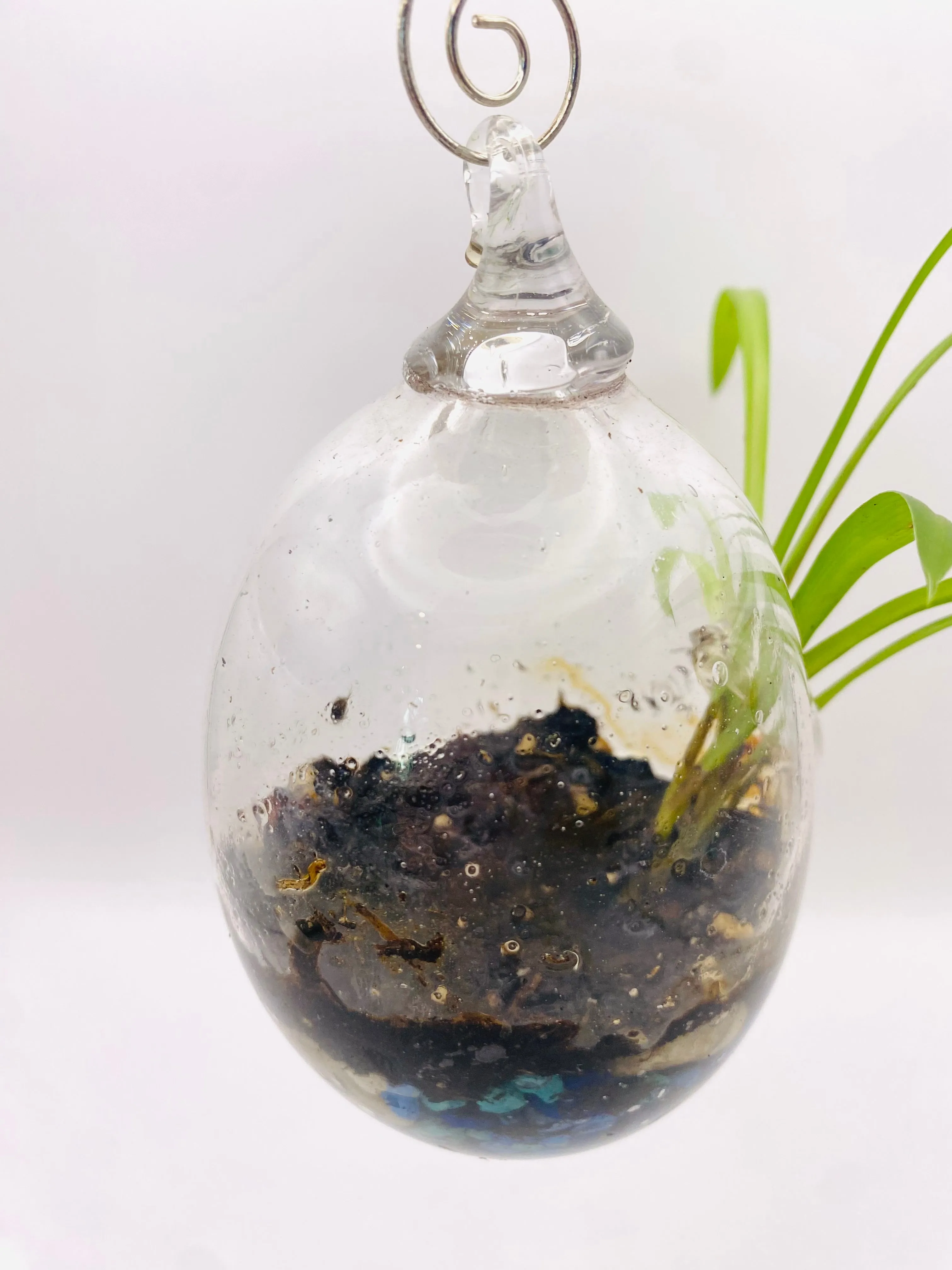 Terrarium