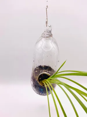 Terrarium